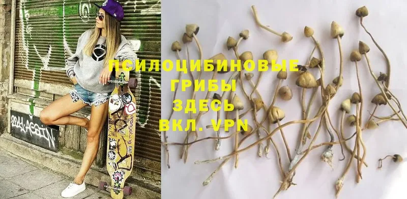 Псилоцибиновые грибы Magic Shrooms  omg   Казань 